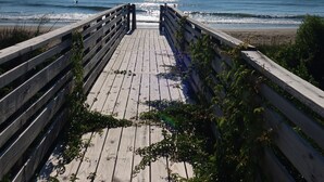 Ein hölzerner Steg führt zu einem Strand, die Sonne scheint.