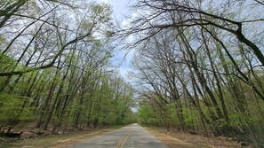 A paved road flanked by dense, leafless trees extending into the distance. - Brand new construction quiet neighborhood fire pit screened porch (Sawyer)