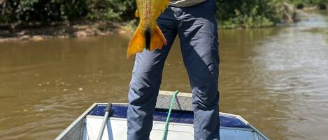 A person holding a fish on a boat with a river and greenery in the background.