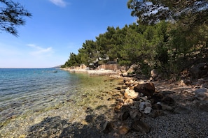 Eine Küstenlandschaft mit klarem Wasser, felsigem Ufer und dichten Kiefern.