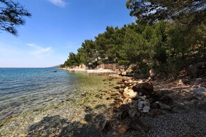 Eine Küstenlandschaft mit klarem Wasser, felsigem Ufer und dichten Kiefern.