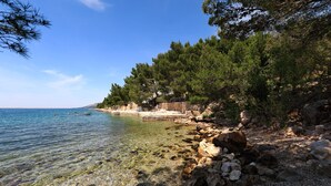 Un paysage côtier caractérisé par une eau claire, une côte rocheuse et une forêt dense de pins.
