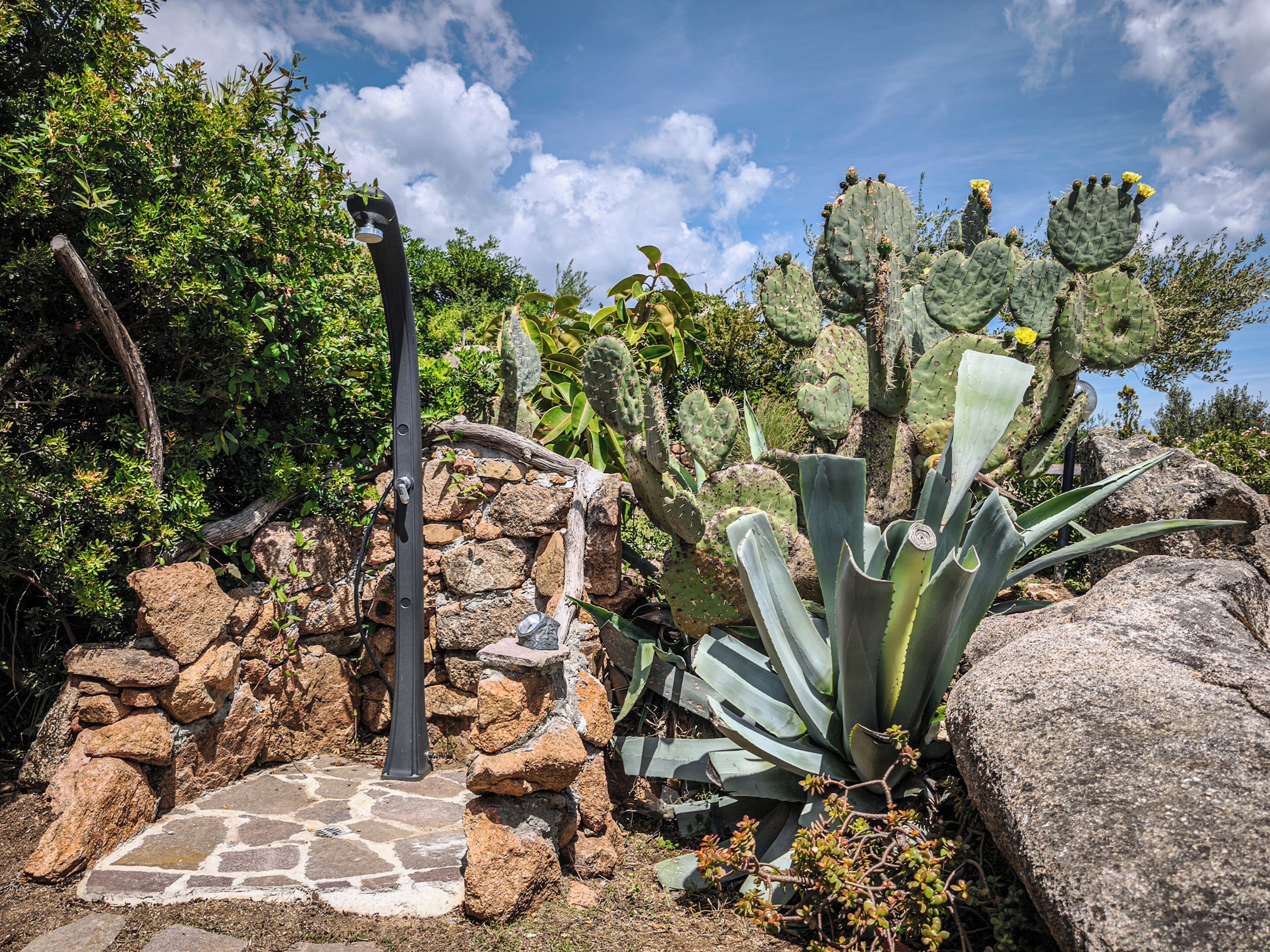 A garden with cacti, a stone wall, and a metal pole.