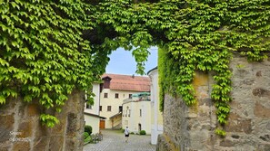 Esterni