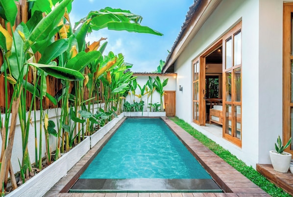 Pool - Villa Orion (Ubud)