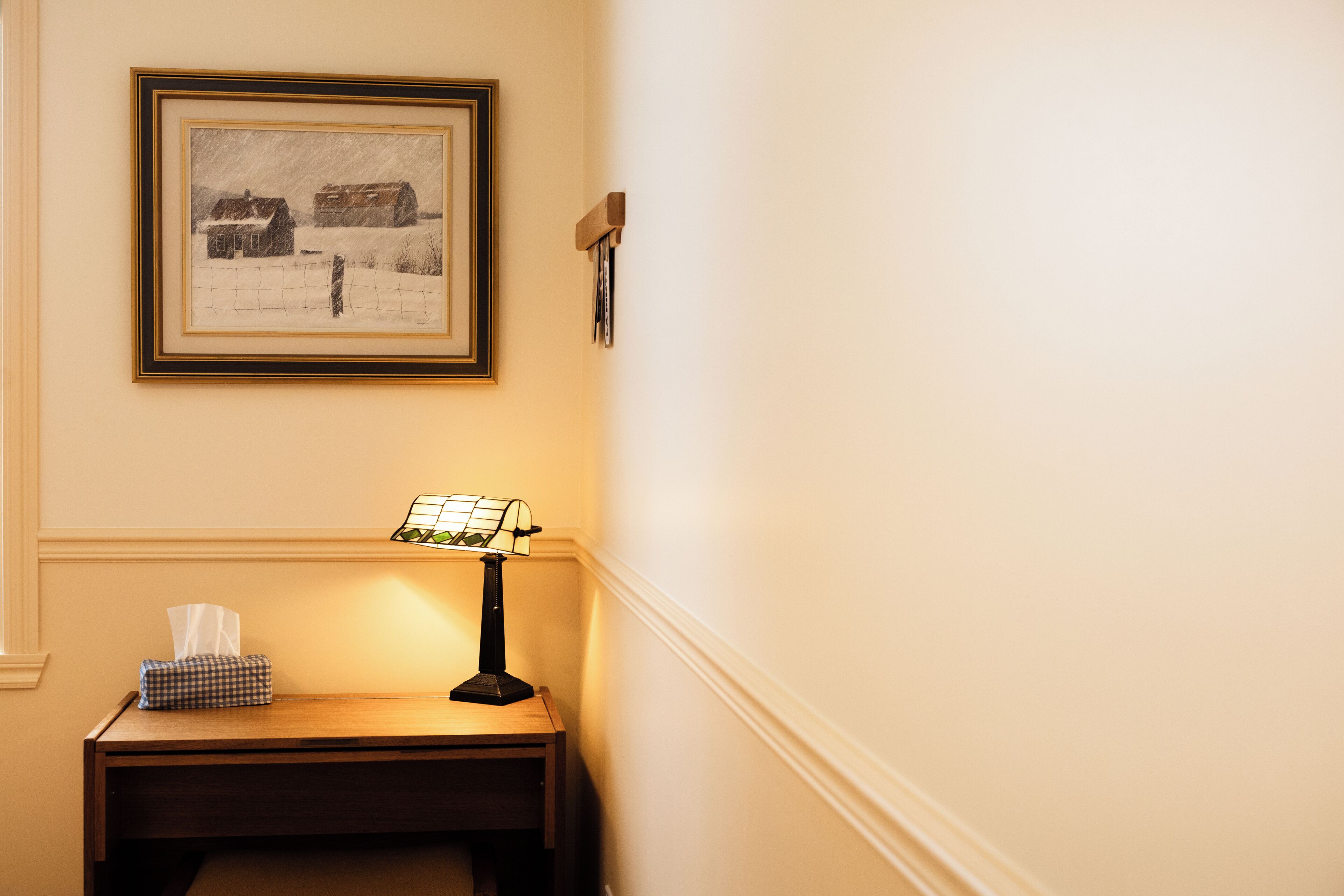 A framed picture of a snowy landscape, a table with a lamp, and a tissue box.