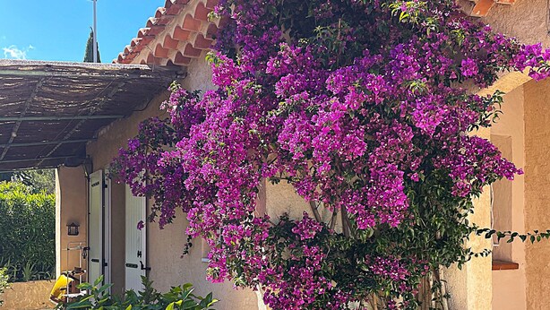 Ein Gebäude mit Stuckfassade, einem Ziegeldach und einem Garten mit Bougainvillea und anderen Pflanzen.