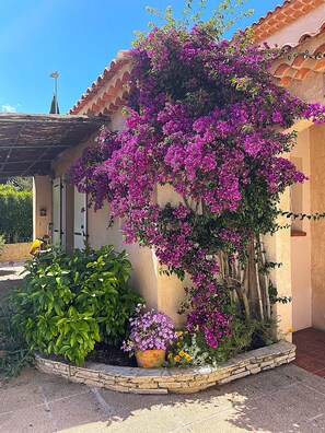 A building with a stucco exterior, a tiled roof, and a garden with bougainvillea and other plants. - A verdant stay between nature and nearby leisure parks (Martigues)