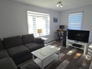 Smart TV, fireplace, books, computer monitors
