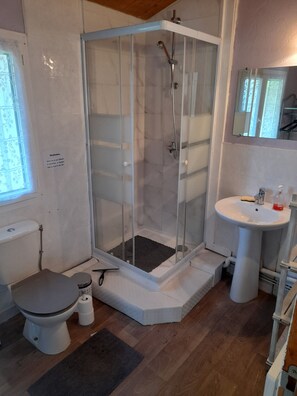 Une salle de bain avec une douche à parois de verre, des toilettes, un lavabo et un miroir.