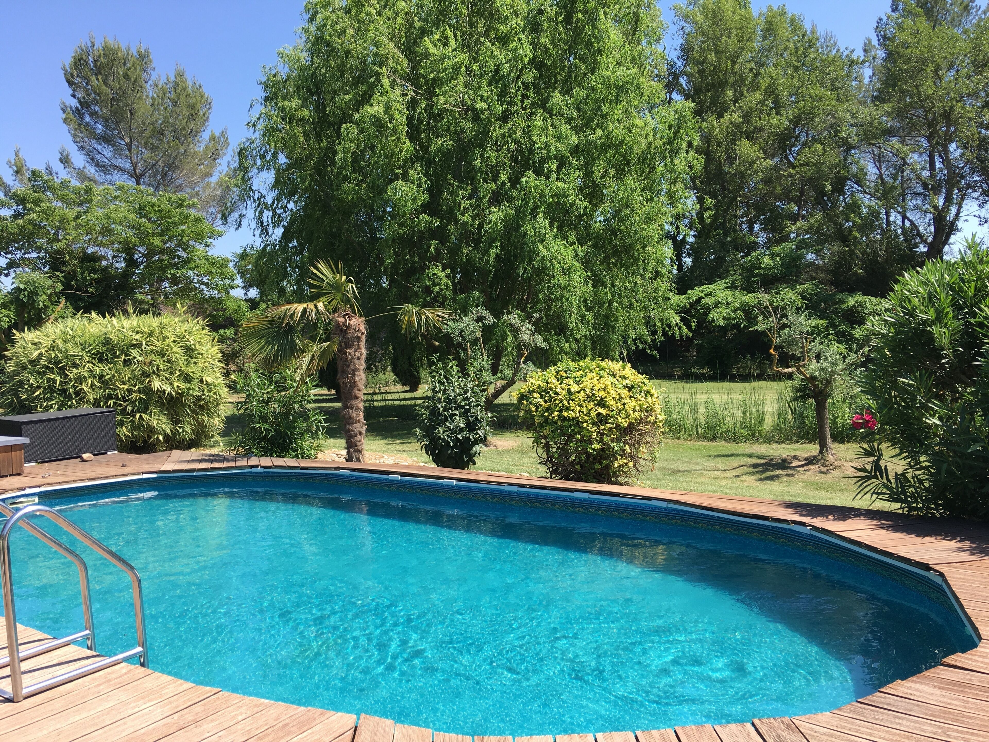 A clear blue swimming pool with a wooden deck and metal ladder, surrounded by lush greenery and trees.