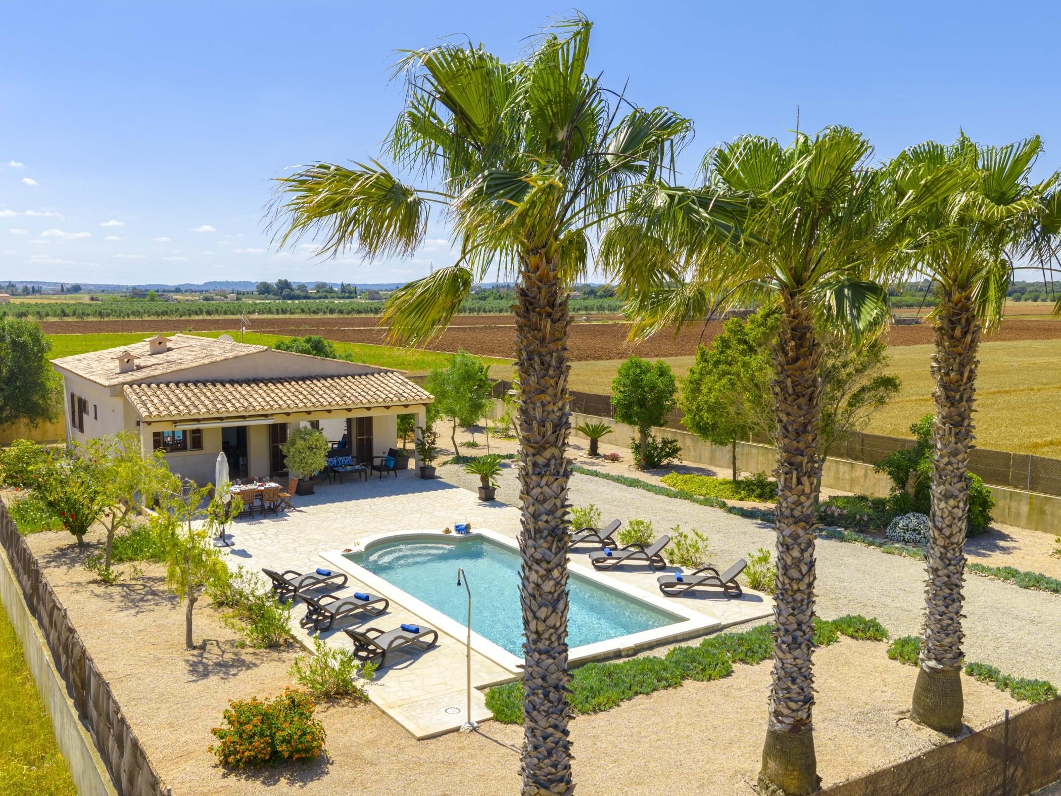 A pool area with lounge chairs, palm trees, and a building with a tiled roof.
