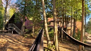 Un hamac dans une zone boisée, avec une structure en bois et un bâtiment rouge en arrière-plan.