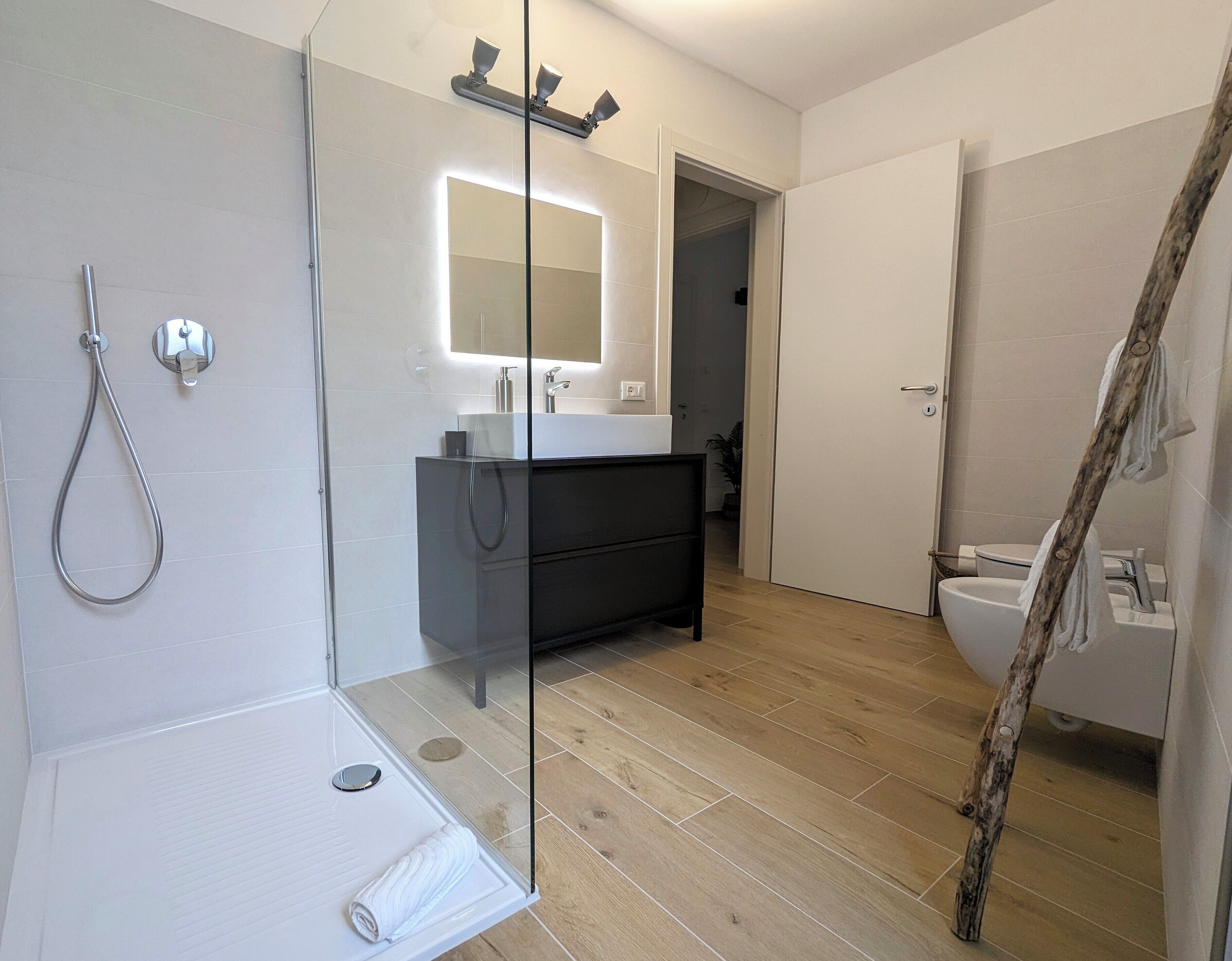 Shower, hair dryer, bidet, towels