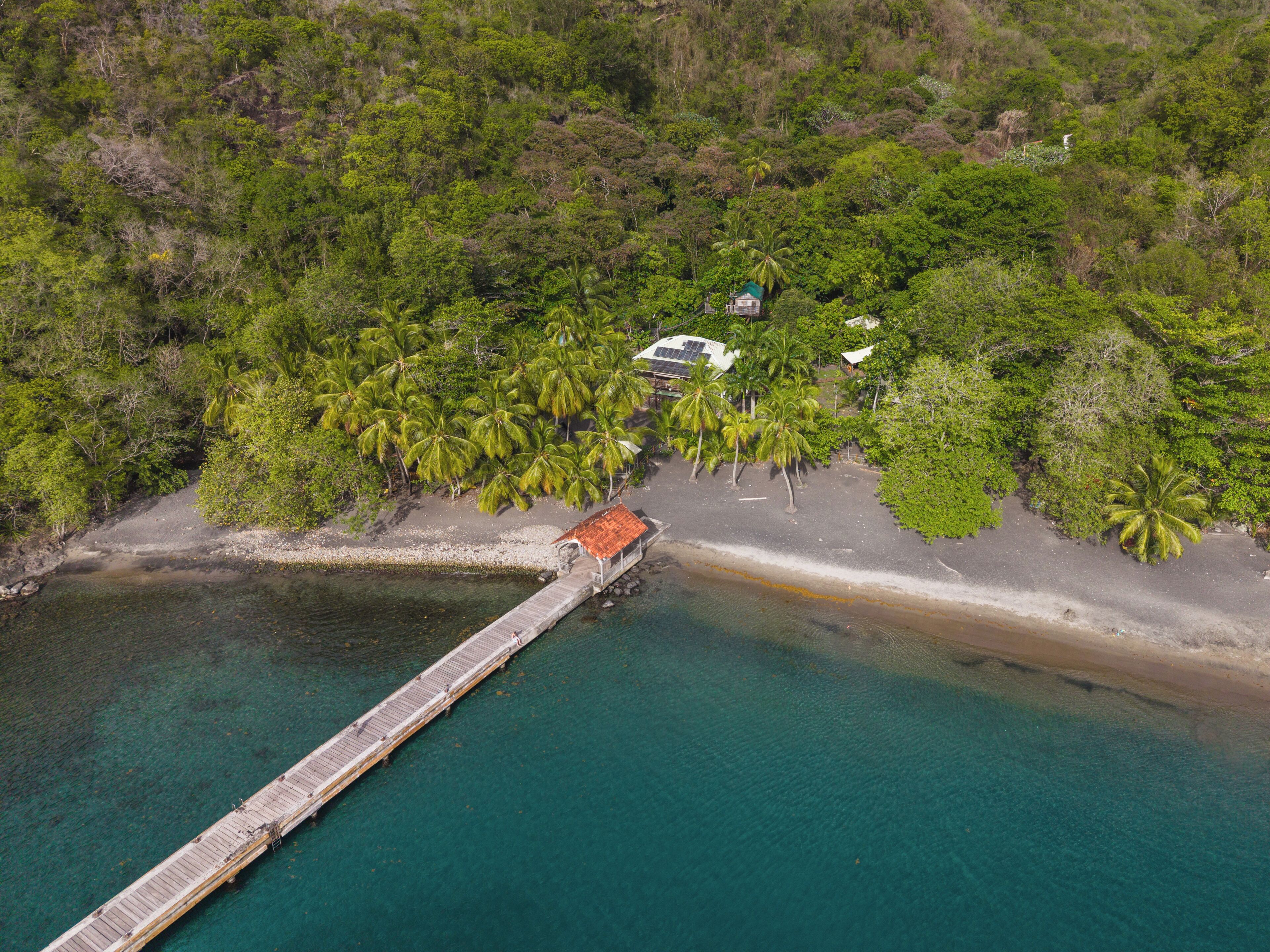 An aerial view of a coastal area with a wooden pier leading to a small house with a red roof, surrounded by dense green vegetation and palm trees.
