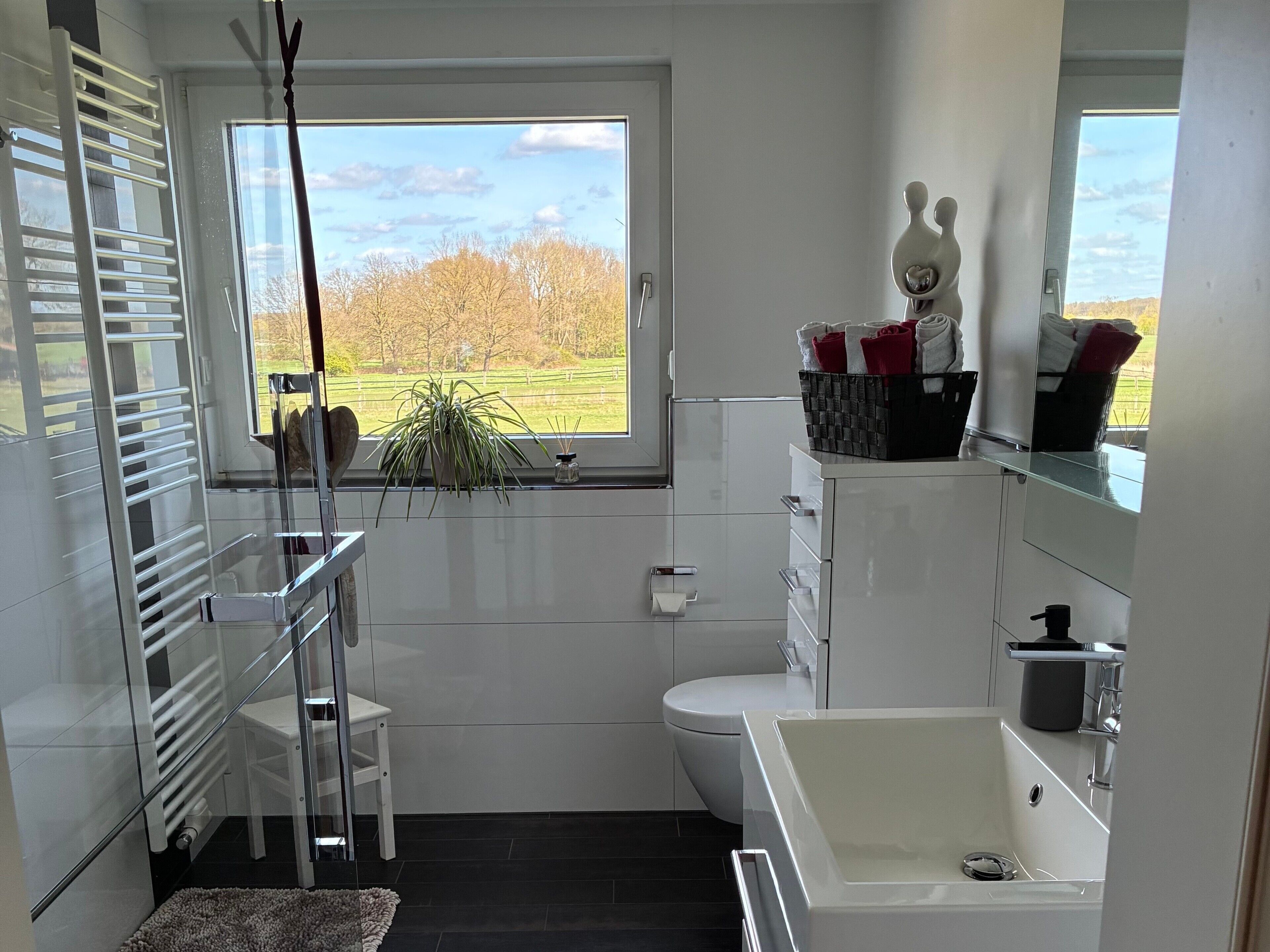 Dusche, Haartrockner, Handtücher