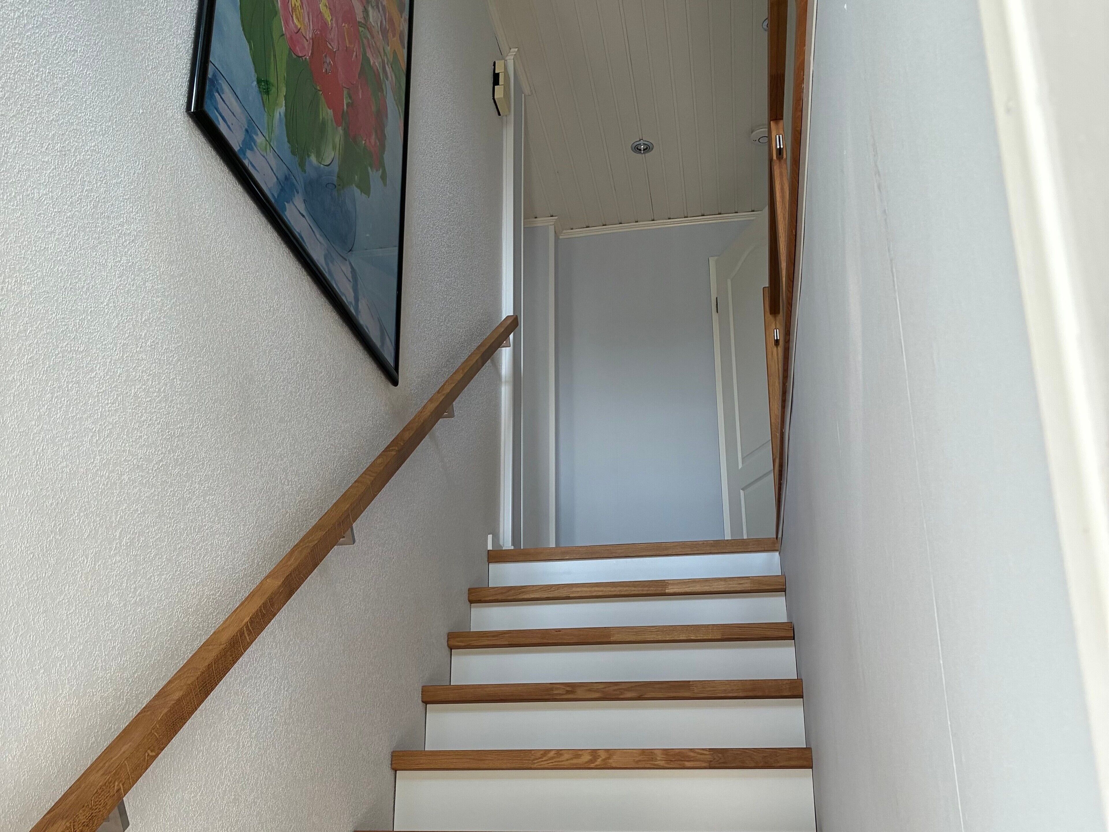 A staircase with wooden handrails and white steps leading to a door.