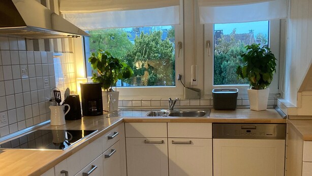 A modern kitchen with white cabinets, a stainless steel sink, and two potted plants. - Leling Holiday Apartment – Relaxation with a Wellness View (Havixbeck)