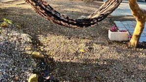 A hammock in a garden area with a building in the background. - Pousada Charlie Brown  (Garopaba)