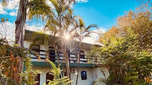 A building with a green roof, multiple windows, and a garden with various plants and trees. - Pousada Charlie Brown  (Garopaba)