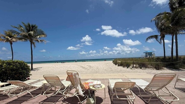 Eine Strandlounge mit Liegestühlen, einer Palme und ungehindertem Blick auf das Meer.