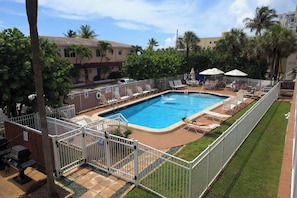 A swimming pool with lounge chairs and umbrellas, surrounded by a fenced area and palm trees. - Oceanfront Suite Steps from Hollywood Beach (Hollywood)