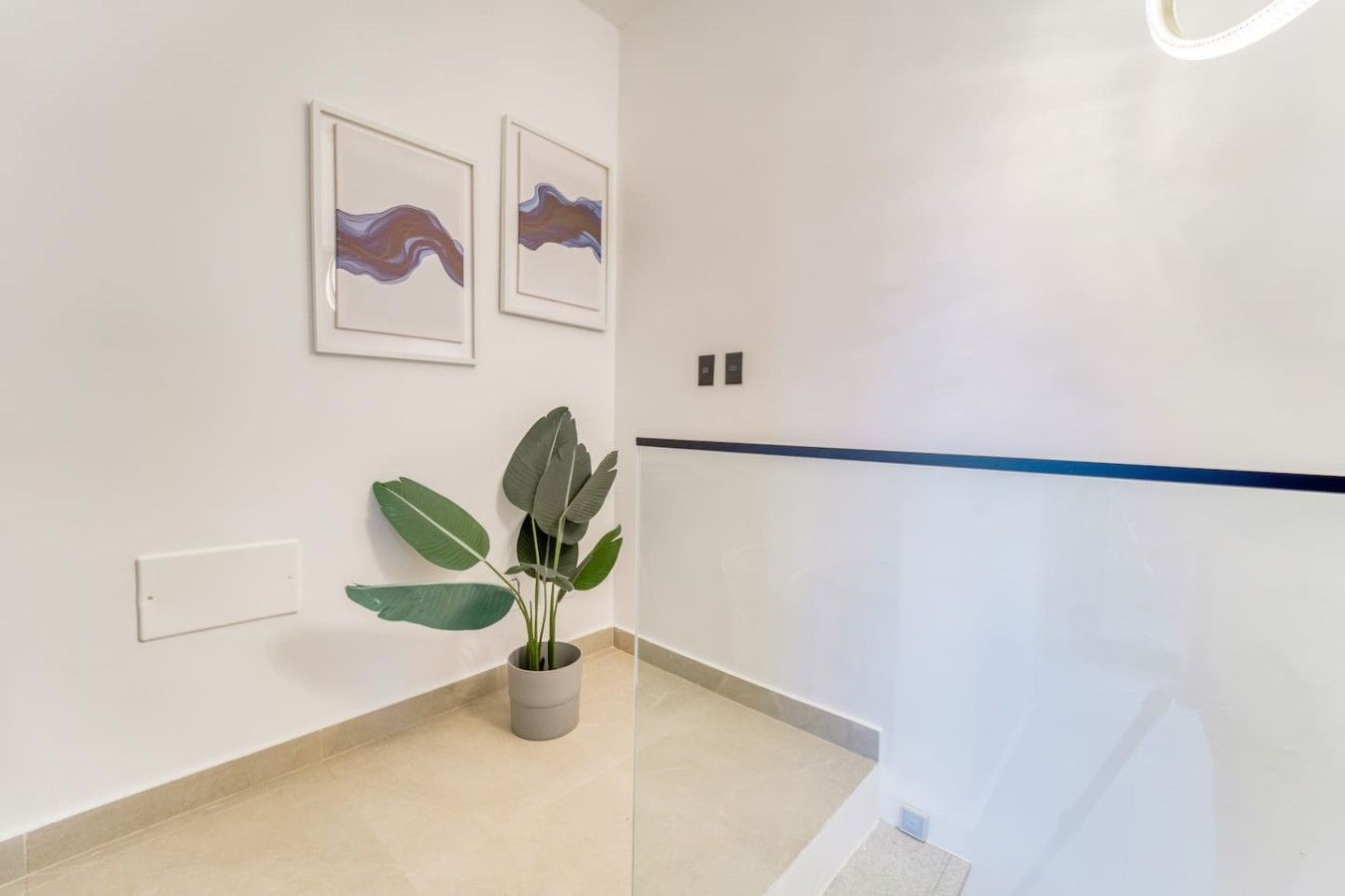 A hallway with a potted plant, two framed artworks, a light switch, and a blue stripe on the wall.