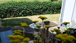 A patio with a table, a chair, and a potted plant. - Holiday Apartment for 2 People (40 m²) in Kerpen (Eifel) (Kerpen (Eifel))