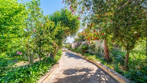 A pathway flanked by lush greenery and flowering plants, leading to a building with a visible entrance. - Cubo's Marala Rural House / Private pool / BBQ / Terrace / Free Wi-Fi (Alhaurín el Grande)