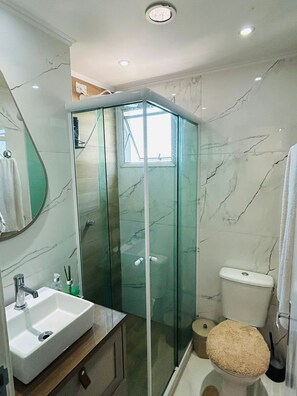 A bathroom with a glass-enclosed shower, a sink, a toilet, and a mirror.
