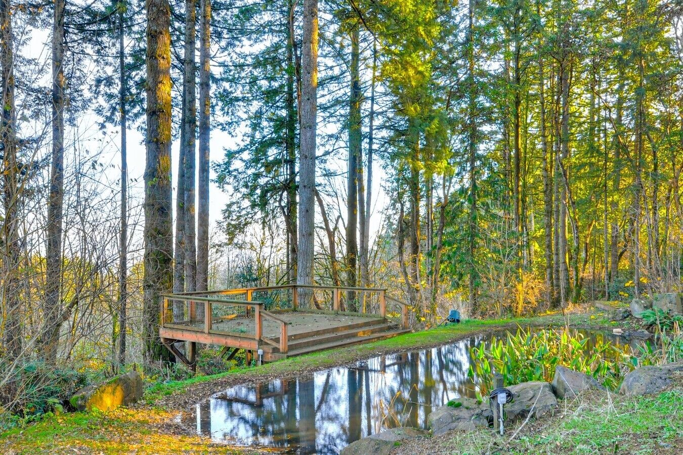 Outdoor Deck | Forest Views | Private Wooded Setting