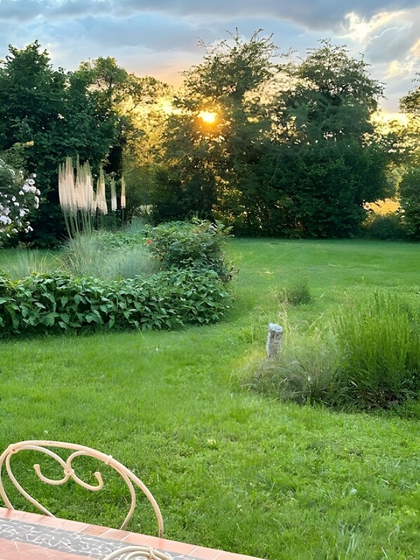 A garden with a metal chair, a stone, and a grassy area.
