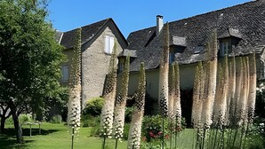 A stone building with a thatched roof, surrounded by a well-maintained garden with various plants and a lawn. - Guest Room 'La Grange De La Bonaurie - Havane' with Shared Terrace and Garden (Anglars-Saint-Félix)