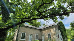 A stone house with three windows and a door, surrounded by lush greenery and trees. - Secluded 1860 Stone House recently remodeled on the Upper Iowa River by Bluffton (Decorah)