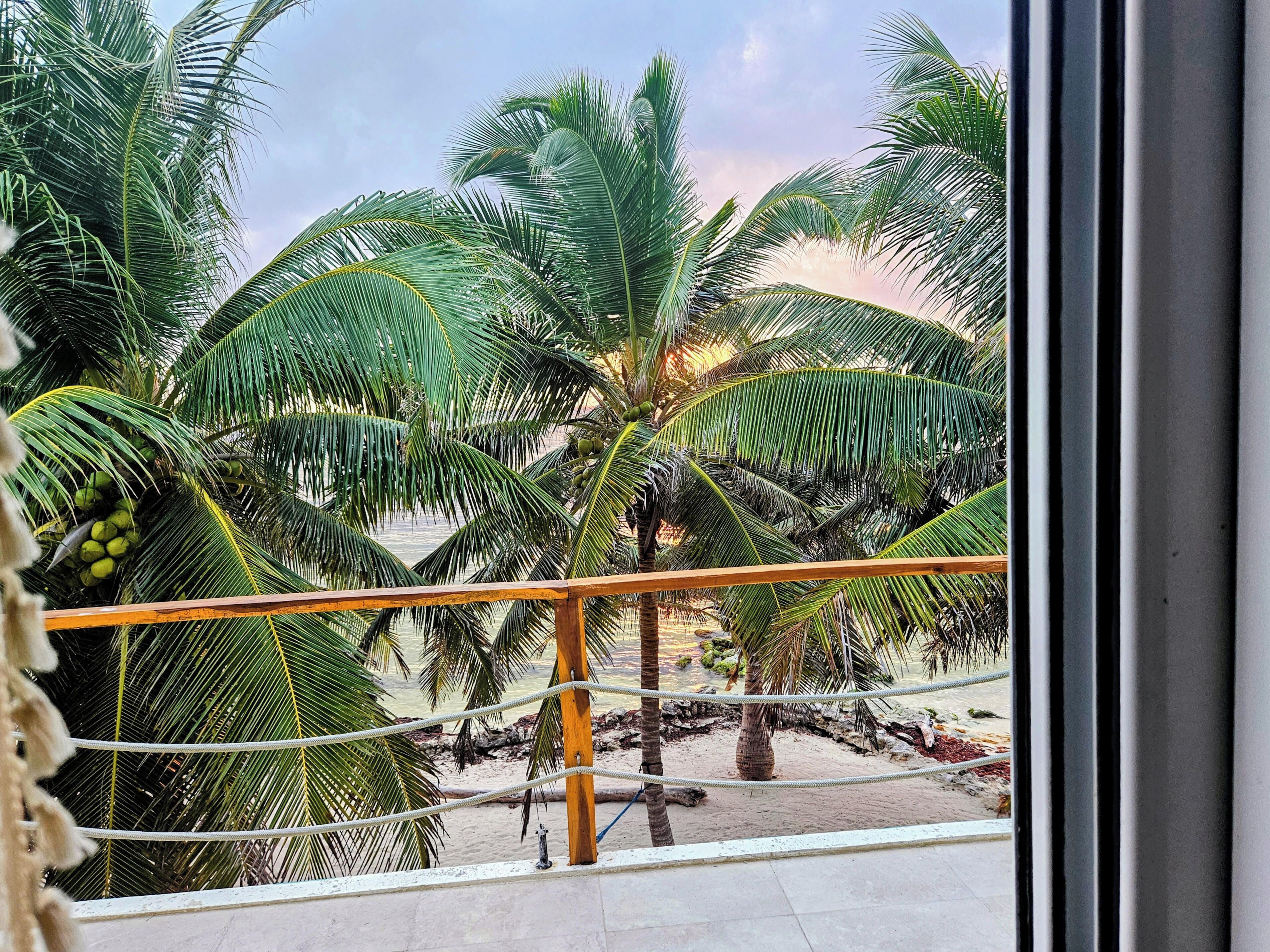 Vista de palmeras y una playa de arena desde un balcón con barandilla de metal.