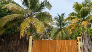 En træport med teksten 'CASTAWAY PALMS' på, omgivet af palmer.