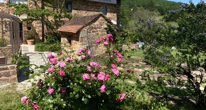 Chambre d'hÎtes « Le Palmier d'Alice » avec terrasse et jardin partagés, Wi-Fi