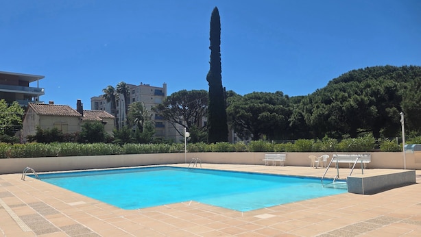 Ein Schwimmbad mit fliesenfahrigem Deck, ein hoher Baum und Wohnhäuser im Hintergrund.