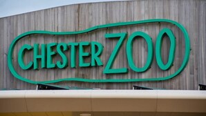 Une enseigne avec les mots « CHESTER ZOO » écrits en grandes lettres bien visibles.