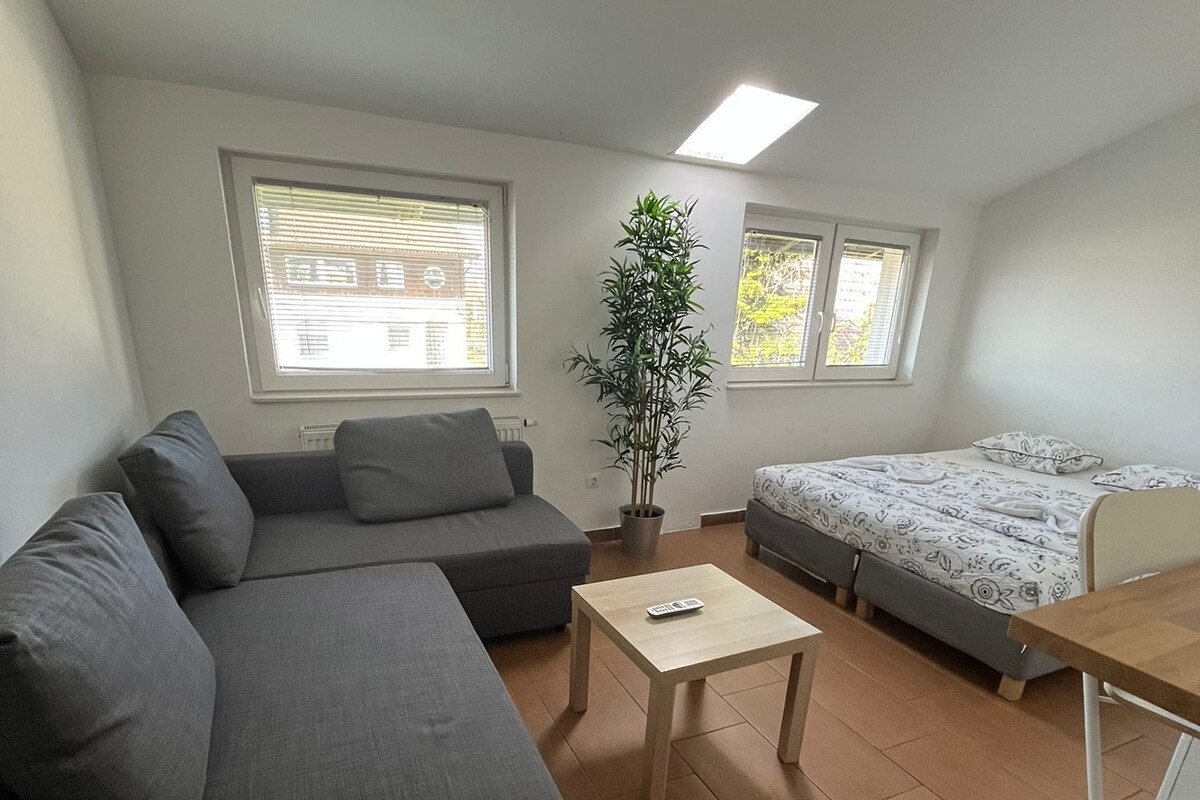 Un espacio habitable compacto con sofá, cama, una mesita y una planta en maceta.