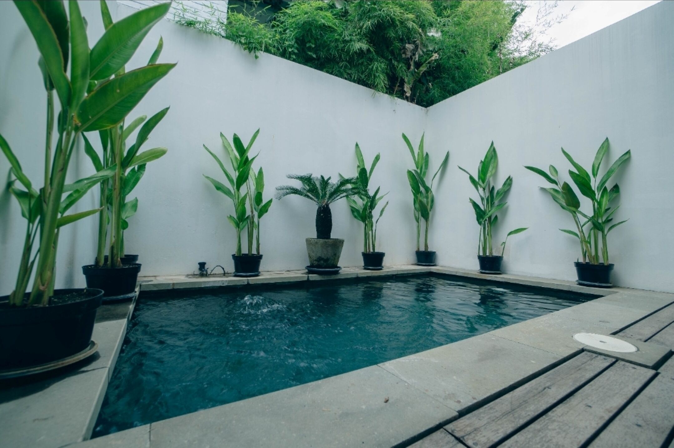 Villa, privézwembad | Zwembad