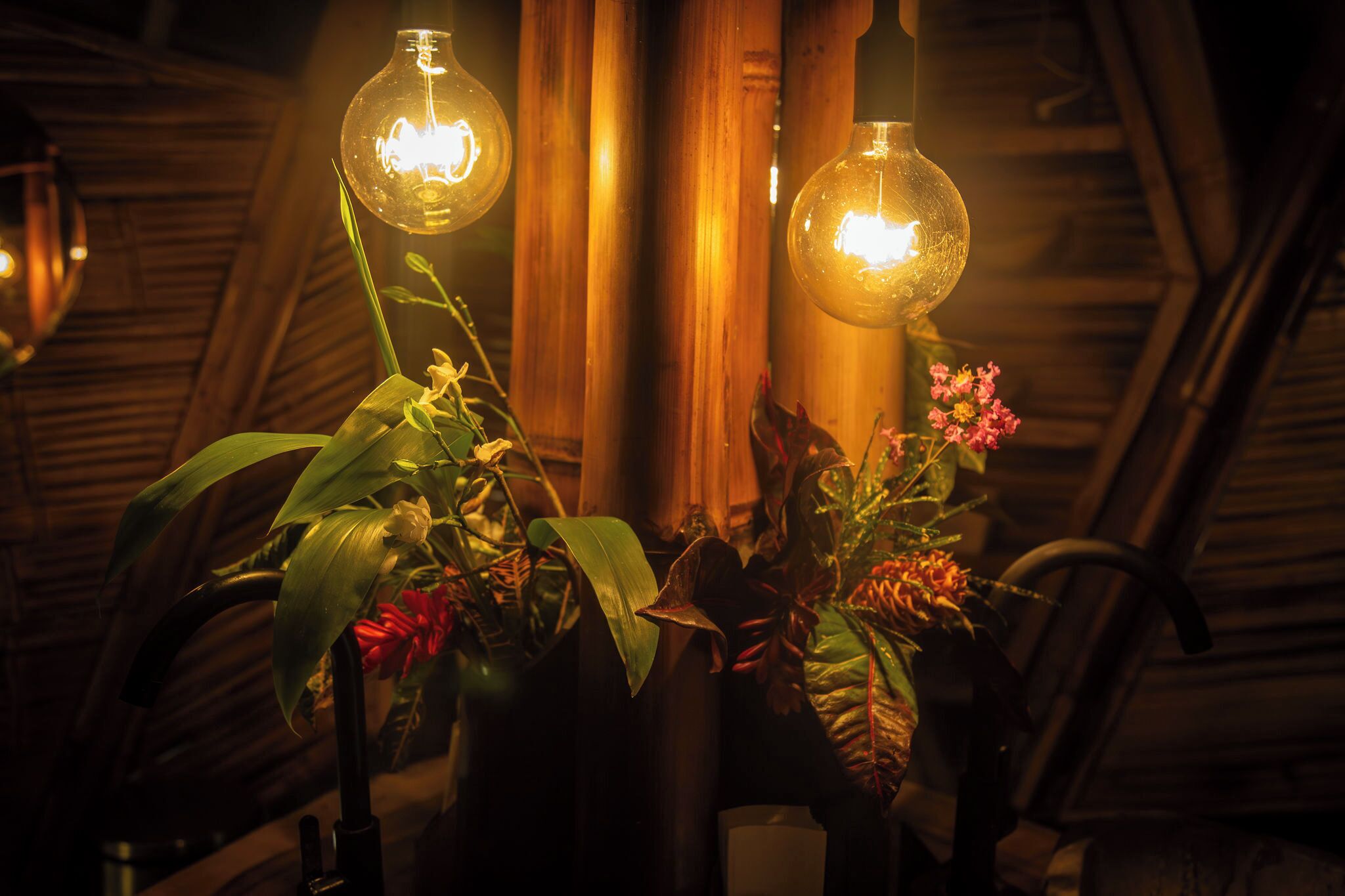 Een kamer met een houten plafond, een plantenarrangement en twee hanglampen.