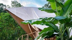 A wooden structure with a white canopy, surrounded by lush greenery. - Qasa Boutique Hotel and Retreats - LGBTQ (Barú)