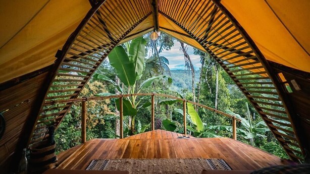 A wooden deck with a view of lush greenery and a bamboo structure. - Qasa Boutique Hotel and Retreats - LGBTQ (Barú)