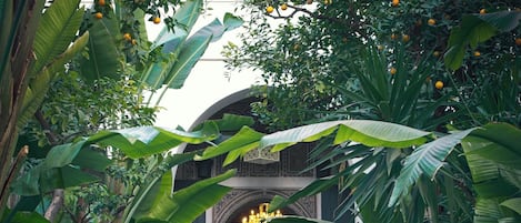 Luxury Double Room | Outdoor dining