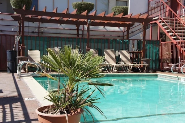 A pool area with lounge chairs, a potted plant, and a pergola.