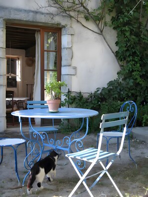 A blue metal table and chairs set outside a building with a stone wall, a potted plant, and a cat.