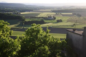 A rural landscape with fields, trees, and a building with a sloped roof.
