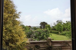 A view through a window of a garden with a wooden fence, a small shed, and a variety of trees and shrubs. - Meadowcroft (Watchet)