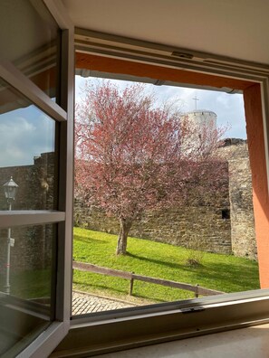 Depuis la fenêtre, on aperçoit un mur de pierre et un arbre aux fleurs roses.